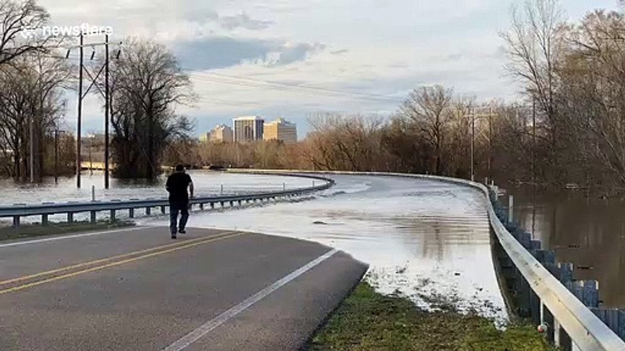 'Seth Rogen lookalike' catches huge fish with bare hands on flooded road in Mississippi