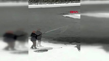 Nehir ortasında mahsur kalan kurt köpeği 3 gün sonra kurtarıldı