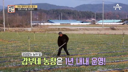 마늘, 콩, 감자까지?! 대체 수익을 찾아야 귀농 성공한다!