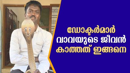 Vava Suresh: Antivenom Given Four Times, Here's How Doctors Saved the Snake Master, Latest Updates  വാവയുടെ ജീവന്‍ കാത്തുരക്ഷിച്ചത് ഇങ്ങനെ, ആന്റി വെനം നല്‍കിയതു നാലു തവണ! ഏറ്റവും പുതിയ റിപ്പോര്‍ട്ട്