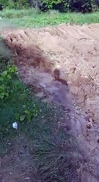 PREFEITURA DE PEDRAS DE FOGO RETIRA LIXO DO RIO MUMBABA