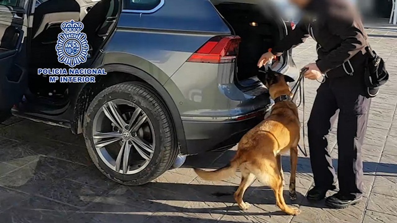 Cuatro detenidos por supuesto blanqueo procedente del narcotráfico