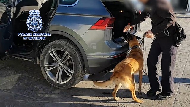 Cuatro detenidos por supuesto blanqueo procedente del narcotráfico