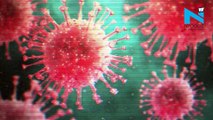China coronavirus outbreak: All the latest updates