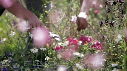 Le Campus d'excellence de Versailles