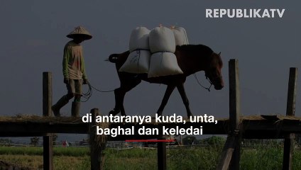 Empat Hewan yang Pernah Hidup Bersama Rasulullah SAW