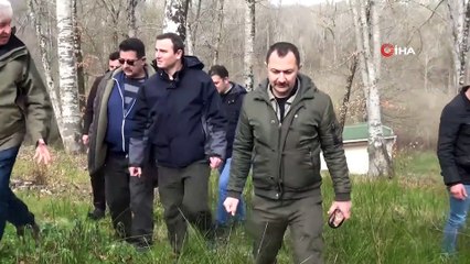 Yaralı hayvanlara şifa dağıtıyor