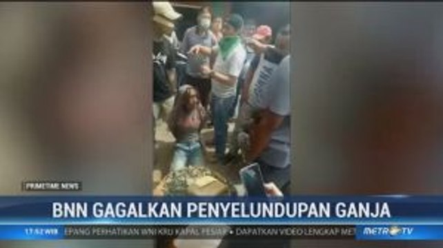 BNN Gagalkan Penyelundupan 1 Ton Ganja