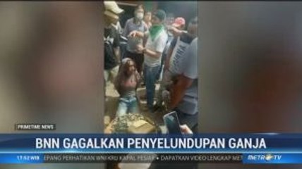 BNN Gagalkan Penyelundupan 1 Ton Ganja