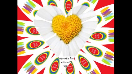 I send you this daisy in the shape of heart, smells with love and passion! [Quotes and Poems]