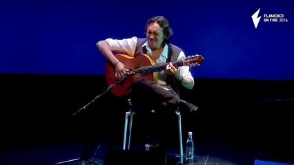 concierto vicente amigo