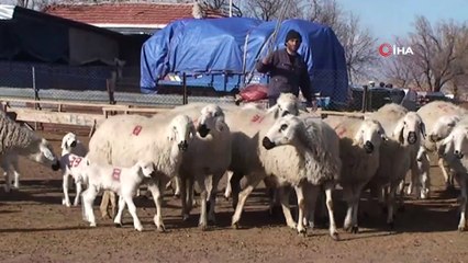 Aksaray'da 'Çobanlar Yarışıyor Bilgi Yarışması’nın ön eleme sınavı gerçekleştirildi