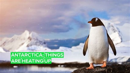Four ways Antarctica's rising temperatures will affect everyone