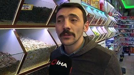 Kayseri'de Çekirdeğe 'Korona Virüs' Darbesi, Çekirdek Fiyatları 40 TL'ye Çıkabilir