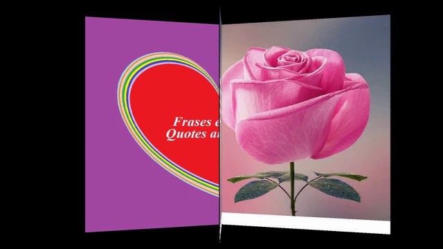 A true friend is like a rose: Never hurts you, has no thorns [Quotes and Poems]