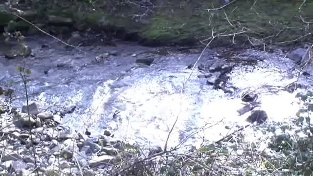 Temor descontrolado en la zona de Zaldibar pese a los intentos de calma