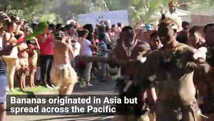 Ancient Human Teeth Solve Bananas' Puzzling Past