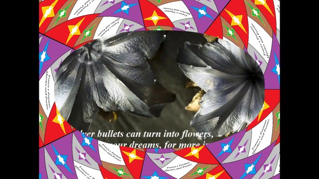Even revolver bullets can turn into flowers, never give up your dreams! [Quotes and Poems]