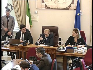 Roma - Audizione Ong italiane nel Mediterraneo e Medioriente (18.02.20)