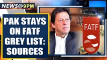 Sources: Pakistan to stay on FATF grey list, escapes new sanctions| OneIndia News