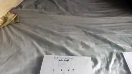 Carolin Lambert et Plaisirs gastriques...