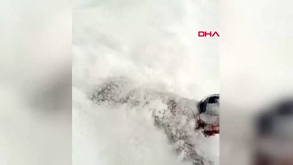 Van karda kulaç görüntülerine sosyal medyada ilgi