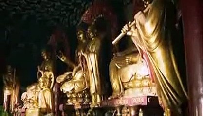 What happen if Real Shaolin Kung Fu face MMA on UFC small