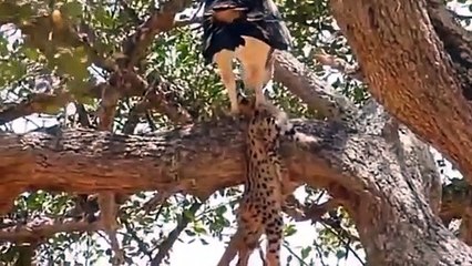 태안출장서비스 태안출장서비스O1Og2118g2518｛카톡KFC49｝ 태안출장마사지샵 태안출장안마on태안출장안마cos여3♪⇔∃마사지황형♥≶≪