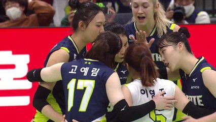 세터 이다영 중심으로 다양한 공격 펼친 현대건설, 기업은행 제압 / YTN