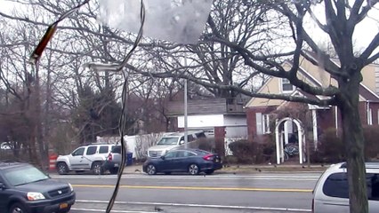 Smart Bird Catches a Fly at 58s