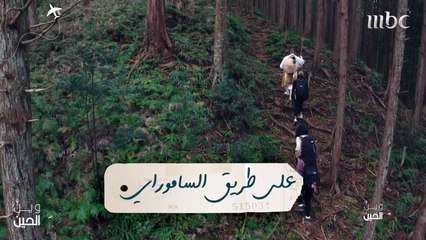 على طريق الساموراي.. رحلة من العمر لفتيات "وين الحين" في اليابان