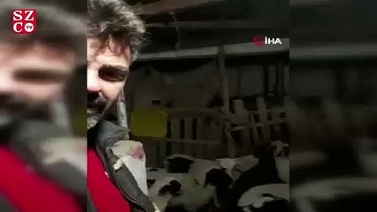 Kuzuların yüksek ses çıkarmasından şüphelendi, video çekerken depremi kaydetti