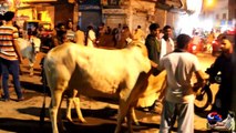 (cow gaiy) mera janwar hai prank by!HASSAN RAZA! in  c4chichora in pakistan