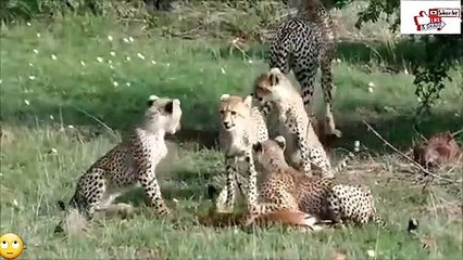 동해출장서비스 동해출장서비스O1OE2541E2560｛카톡SUV9｝ 동해출장마사지샵 동해출장안마on동해출장안마cos여3♪⇔∃마사지황형♥≺≪