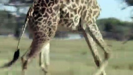 연수출장서비스 연수출장서비스O1Og2154g6609｛카톡MBN74｝ 연수출장마사지샵 연수출장안마on연수출장안마cos여3♪⇔∃마사지황형♥◤≪