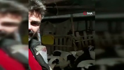 Kuzuların hareketlerinden şüphelendi! Saniyeler sonra deprem oldu