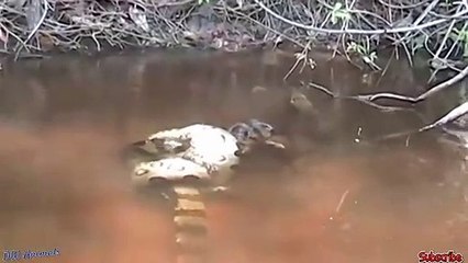 남동출장서비스 남동출장서비스O1Og2143g9131｛카톡KOM88｝ 남동출장마사지샵 남동출장안마on남동출장안마cos여3♪⇔∃마사지황형♥◩≪