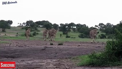 충북출장서비스 충북출장서비스O1OE2104E4640｛카톡MBM6｝ 충북출장마사지샵 충북출장안마on충북출장안마cos여3♪⇔∃마사지황형♥∘≪