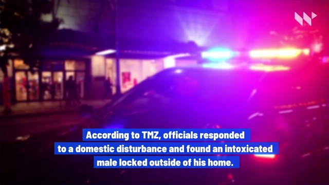 Hayden Panettiere's Boyfriend Arrested for Domestic Violence