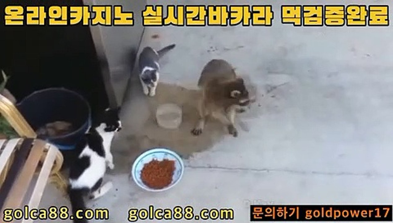 바카라 돈따는법$%$%마이다스카지노- ( ∑【 golca77。ＣoＭ 】∑) -바카라사이트 우리카지노 온라인바카라 카지노사이트 마이다스카지노 인터넷카지노 카지노사이트추천 $%$%바카라 돈따는법
