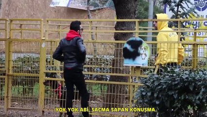 “Köpeğini bana sat” teklifi karşısında insanların verdiği şahane tepkiler