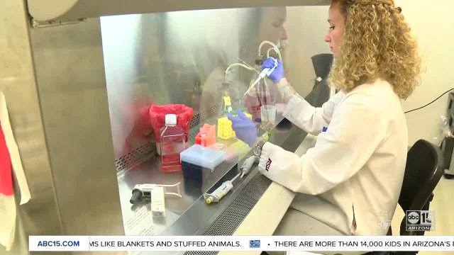 ASU professor one step closer to finding a cure to cancer
