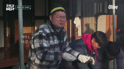 호동이 눈물 나게 한 매생이 닭? ㅠㅠ 고금도 토종 닭은 달러~