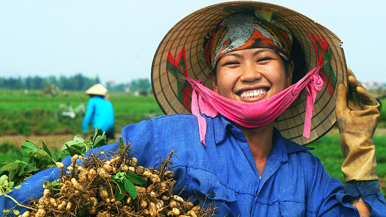 Nông thôn chuyển động -19/02/2020