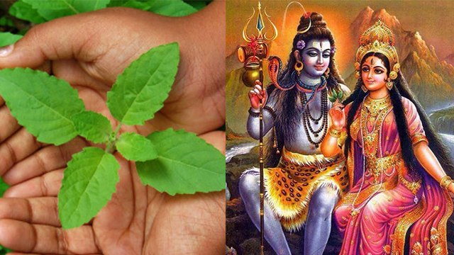 Maha Shivratri 2020 : महाशिवरात्रि में भूलकर भी ना करें शंख समेत इन 7 चीजों का इस्तेमाल | Boldsky