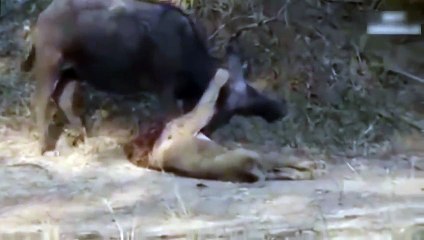 충남출장서비스 충남출장서비스O1Og4832g2166｛카톡MGM85｝ 충남출장마사지샵 충남출장안마on충남출장안마cos여3♪⇔∃마사지황형♥◧≪