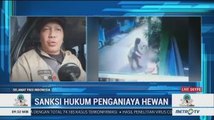 Animal Defenders Indonesia Polisikan Pelaku Pemukul Kucing Hingga Tewas