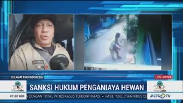Animal Defenders Indonesia Polisikan Pelaku Pemukul Kucing Hingga Tewas