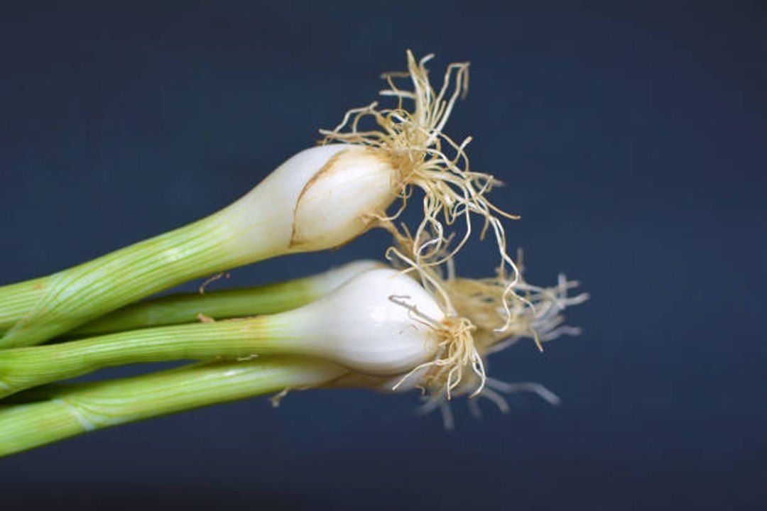 ¡Vegetales con segunda vida!