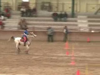 Ronchin 10.02.08 2 drap